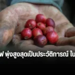 ราคากาแฟ พุ่งสูงสุดเป็นประวัติการณ์ ในรอบ 47 ปี